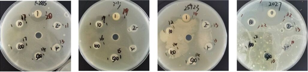 Agar plates showing clear inhibition zones against E. coli K88, Salmonella, Staphylococcus aureus and Clostridium perfringens